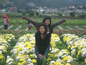 LOVELY FLOWERS SEEN AT STRAWBERRY FARM BAGUIO (9)